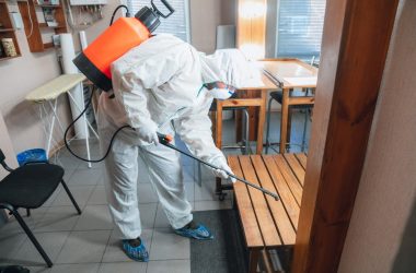 Pest Control Services: Protecting Your Property Investment and Health