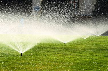 How to Choose Between Surface, Drip, and Sprinkler Irrigation Systems