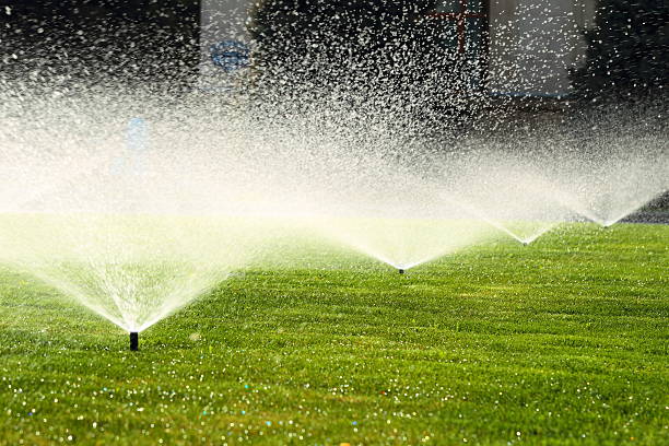 How to Choose Between Surface, Drip, and Sprinkler Irrigation Systems