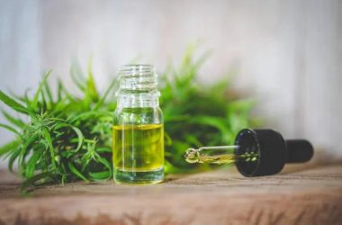 Navigating the Best: A Comprehensive Guide to Choosing Top-Quality CBD Oil for Dogs in Canada