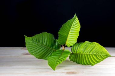 High-Quality Kratom Strains: What to Look For