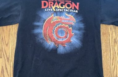 Unveiling the Top Trends in How To Train Your Dragon Merchandise