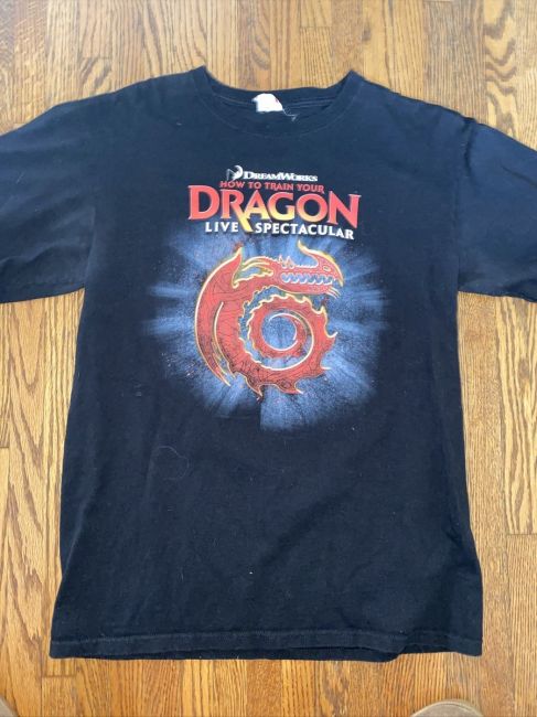 Unveiling the Top Trends in How To Train Your Dragon Merchandise